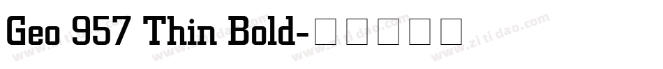 Geo 957 Thin Bold字体转换